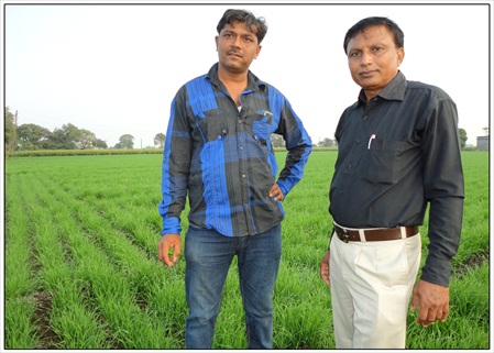 seed village field at Prabhatpur 02